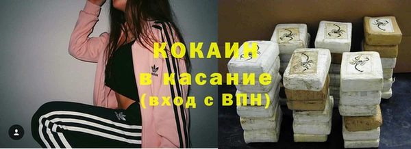 шишки Алексин